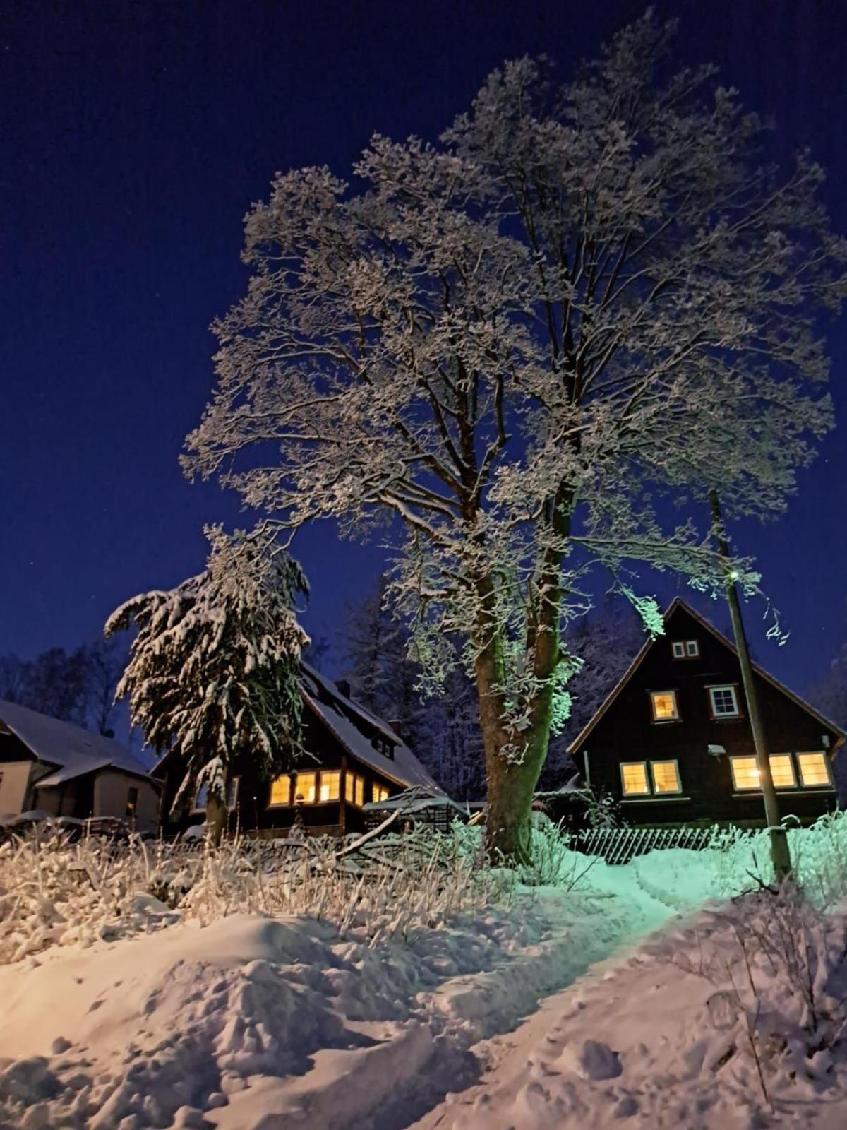 Апартаменты Haus Erna Ширке Экстерьер фото